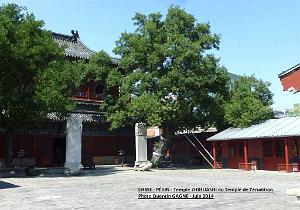 33- Pekin- Zhihuashi